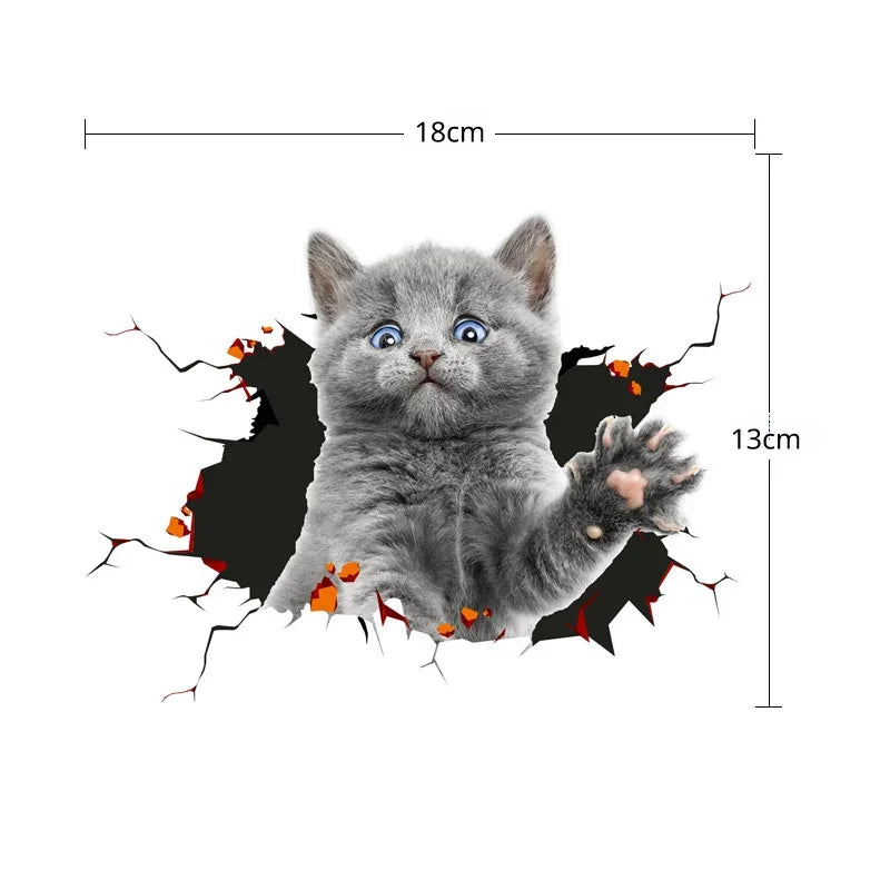 Cute Cats Peeking Peering Car Sticker