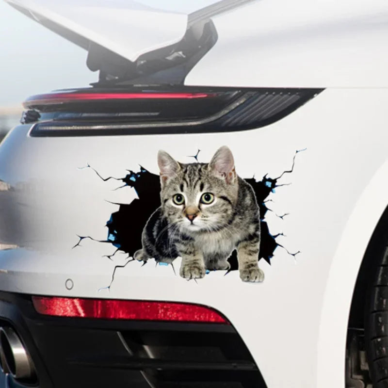 Cute Cats Peeking Peering Car Sticker