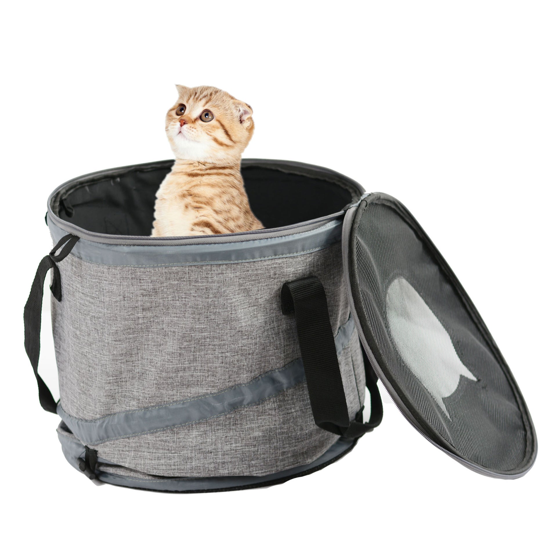 Multifunctional Cat Litter