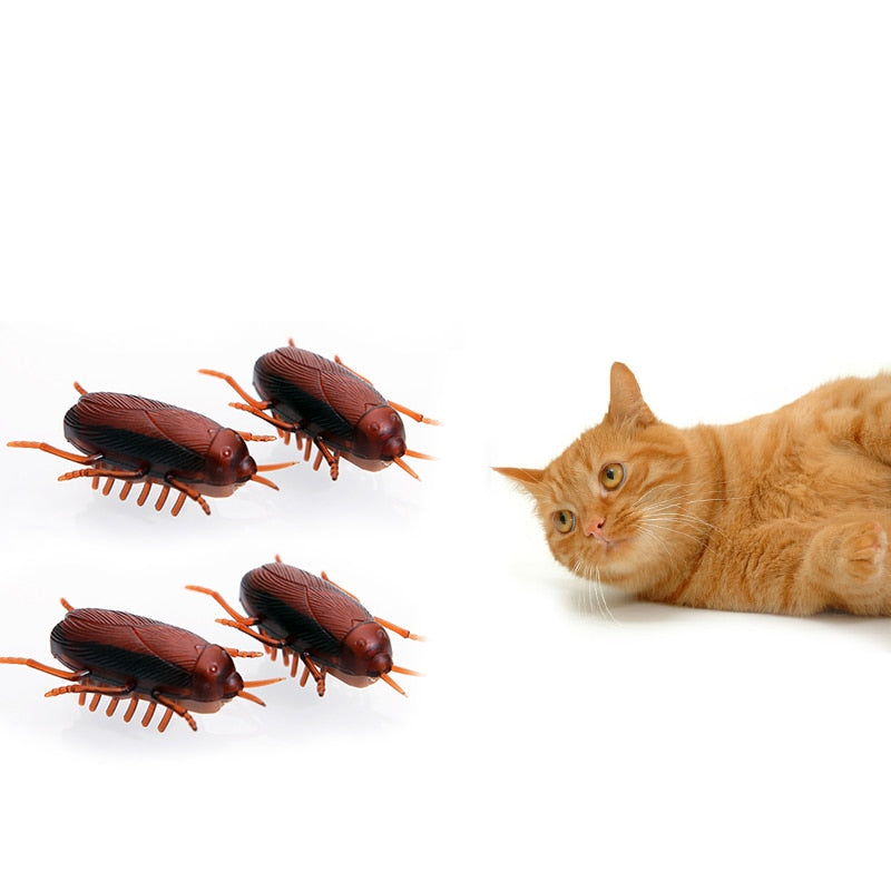 Cat Toys Electric Cockroach