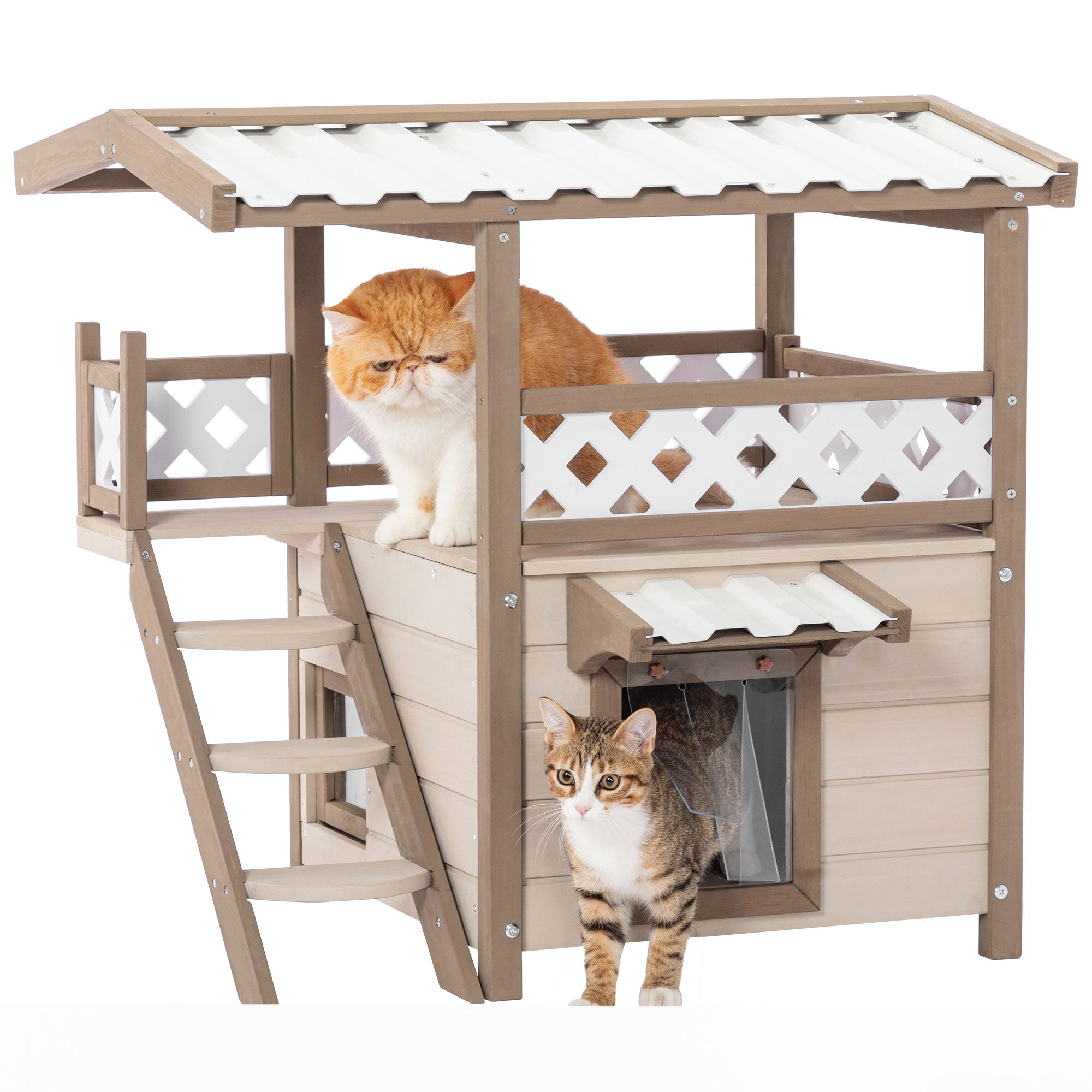 Feral Cat House